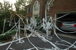 Highlight for Album: The Smiths get TP'd in 2005 by friends of Sarah (we think....)