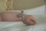 Highlight for Album: Anna's Blessing