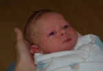 Highlight for Album: Carter James Phillips